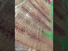 टाइटेनियम मिश्र धातु चश्मा फ्रेम पीवीडी कोटिंग मशीन