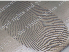 उच्च वैक्यूम धातुकरण प्रणाली, फिंगरप्रिंट मार्क इमेजिंग के लिए थर्मल वाष्पीकरण कोटिंग यूनिट